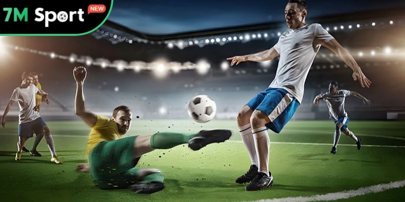 Thông tin cơ bản về điều khoản dịch vụ ở 7M